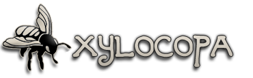 Xylocopa Design